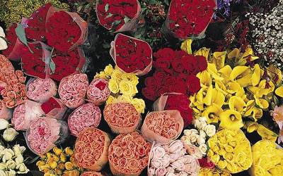 销售花卉产品需要注册商标吗?