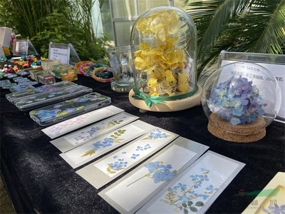 西安绣球花品种展示暨花卉产业发展研讨会举办 90个新品种同台比美